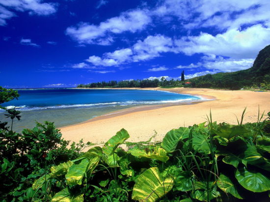南国天堂夏威夷 旅游购物全攻略_旅游频道