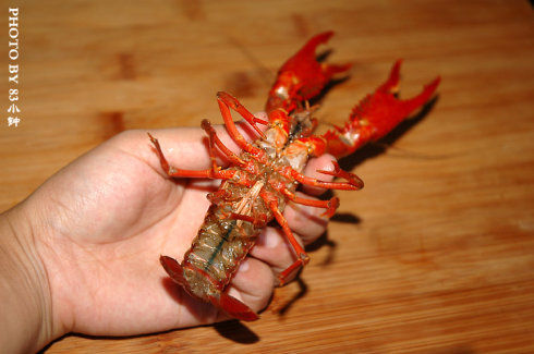 小龙虾烹饪诀窍:怎么清洗才能不伤手