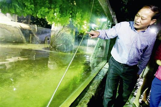 武汉海洋世界鱼缸被游客拍裂 中华鲟被迫迁居